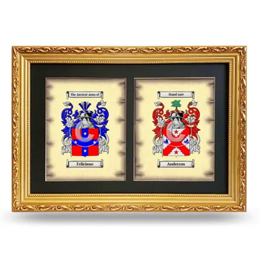 Double Coat of Arms Framed - Gold