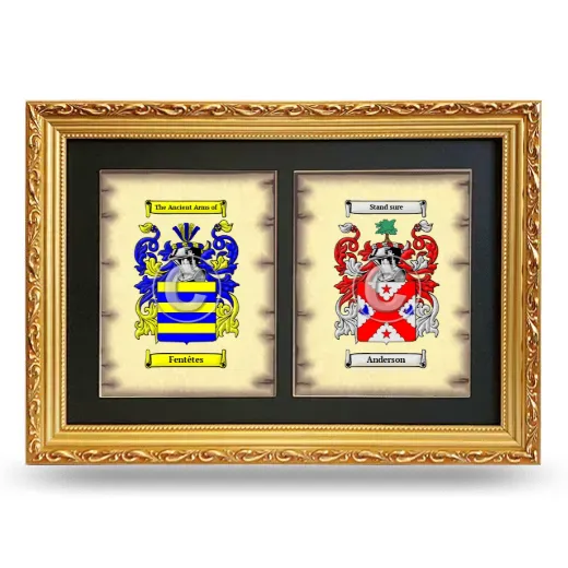 Double Coat of Arms Framed - Gold