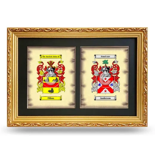 Double Coat of Arms Framed - Gold