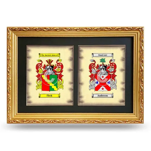 Double Coat of Arms Framed - Gold