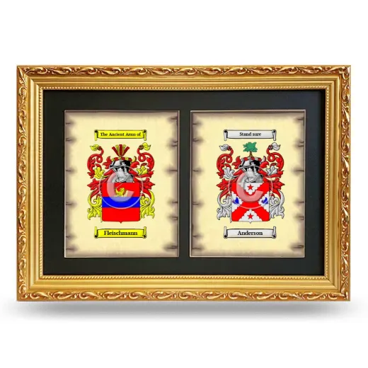 Double Coat of Arms Framed - Gold