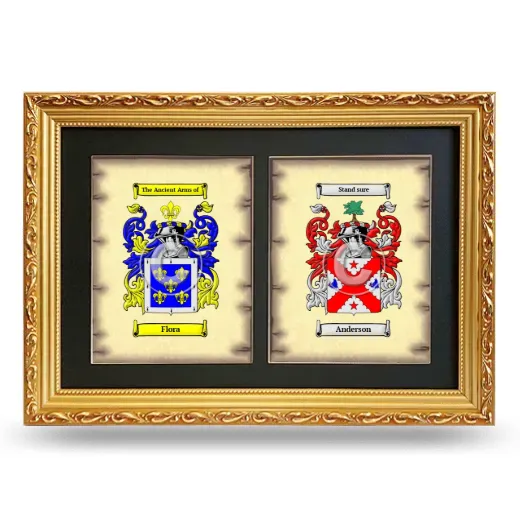 Double Coat of Arms Framed - Gold