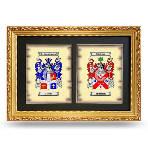 Double Coat of Arms Framed - Gold