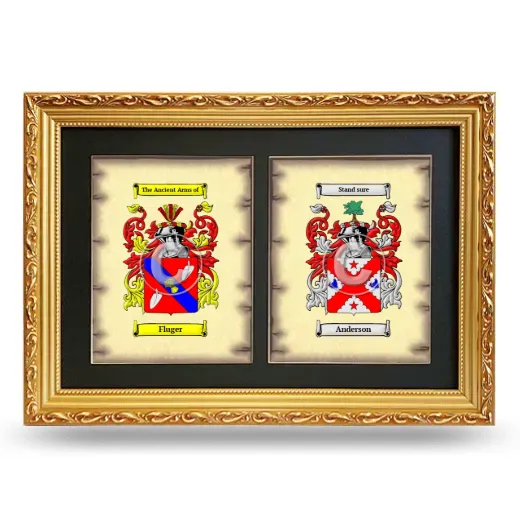 Double Coat of Arms Framed - Gold