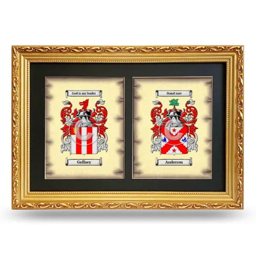 Double Coat of Arms Framed - Gold