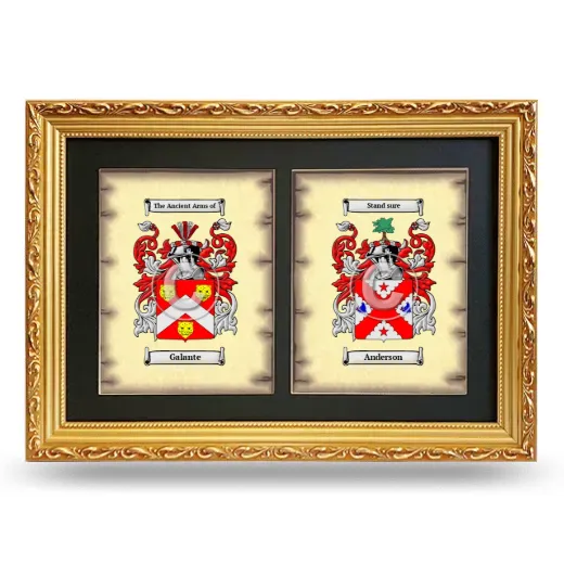 Double Coat of Arms Framed - Gold