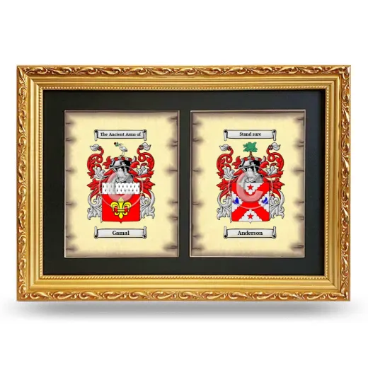 Double Coat of Arms Framed - Gold