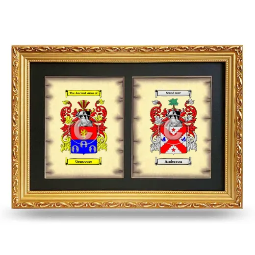 Double Coat of Arms Framed - Gold