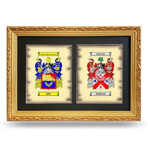 Double Coat of Arms Framed - Gold