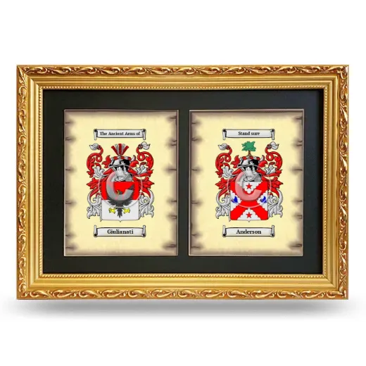 Double Coat of Arms Framed - Gold