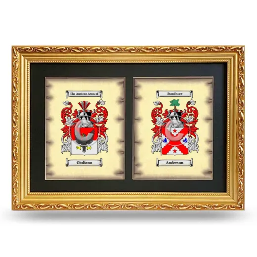 Double Coat of Arms Framed - Gold