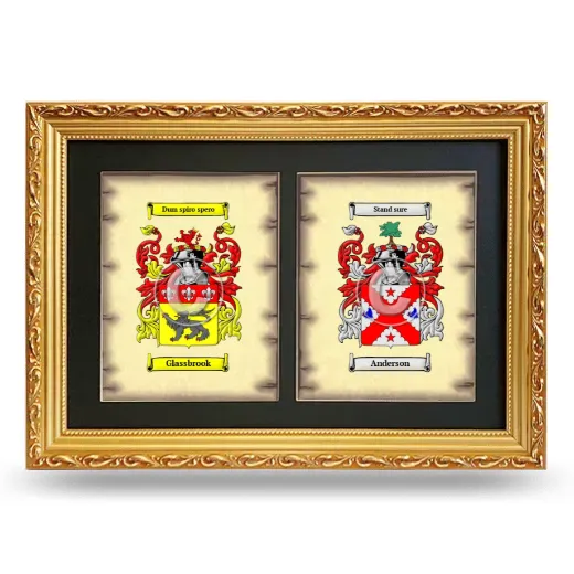Double Coat of Arms Framed - Gold