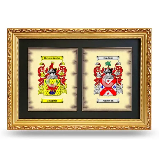 Double Coat of Arms Framed - Gold