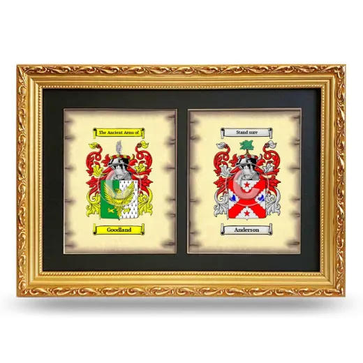 Double Coat of Arms Framed - Gold