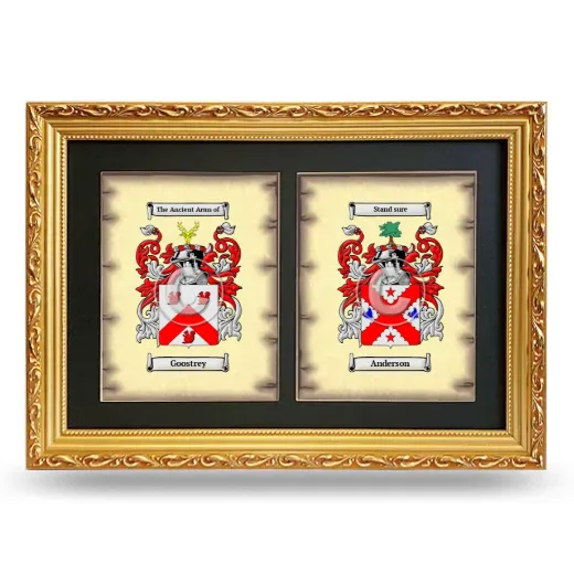 Double Coat of Arms Framed - Gold