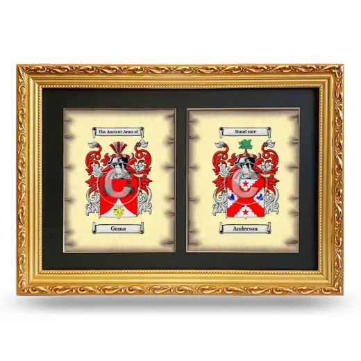 Double Coat of Arms Framed - Gold