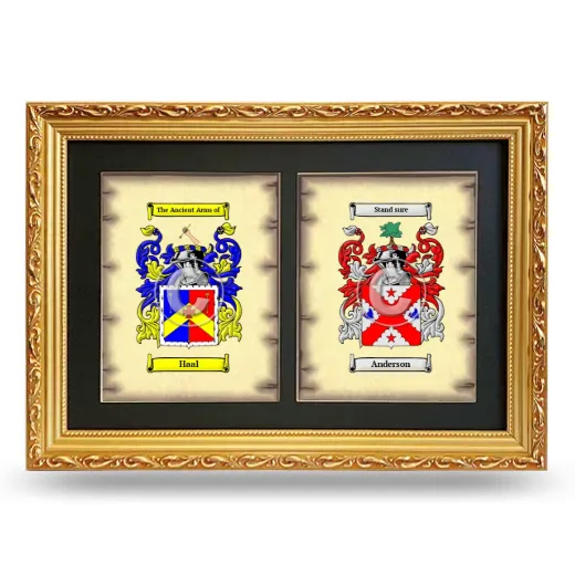 Double Coat of Arms Framed - Gold