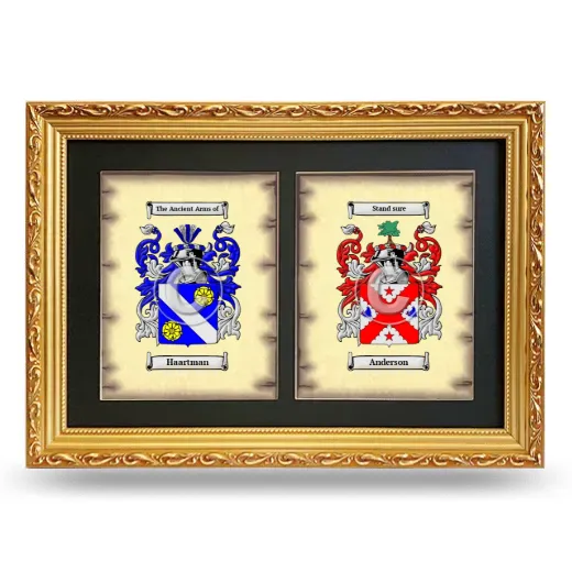 Double Coat of Arms Framed - Gold