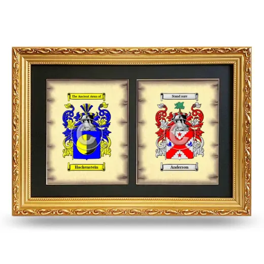 Double Coat of Arms Framed - Gold