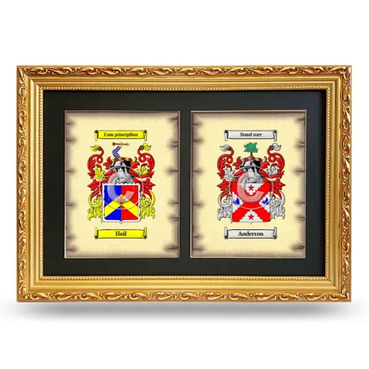 Double Coat of Arms Framed - Gold