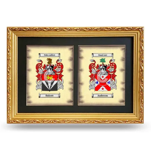 Double Coat of Arms Framed - Gold