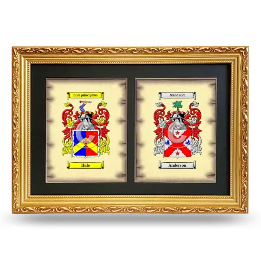 Double Coat of Arms Framed - Gold