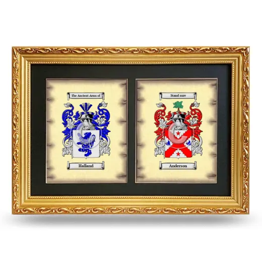 Double Coat of Arms Framed - Gold