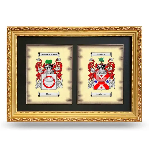Double Coat of Arms Framed - Gold