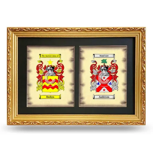 Double Coat of Arms Framed - Gold