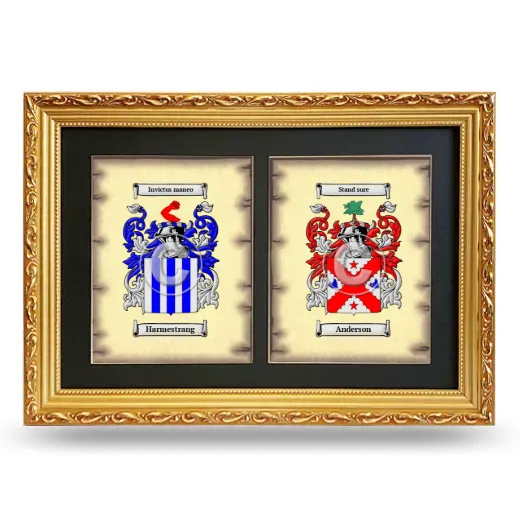 Double Coat of Arms Framed - Gold