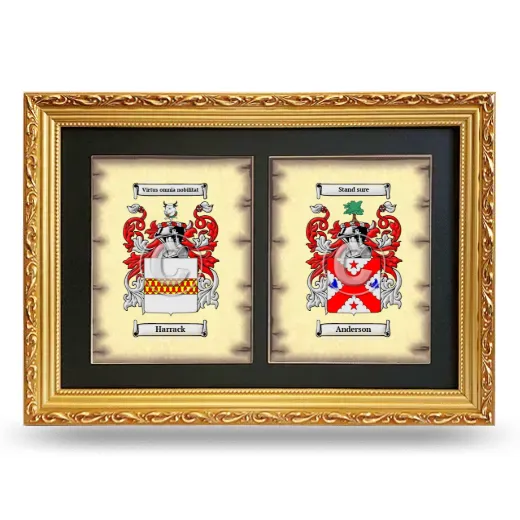 Double Coat of Arms Framed - Gold