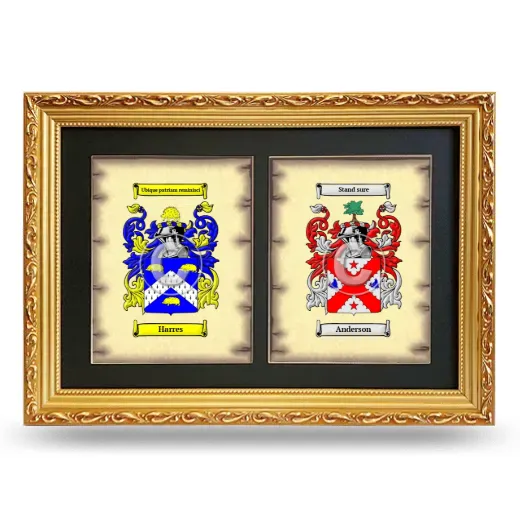 Double Coat of Arms Framed - Gold
