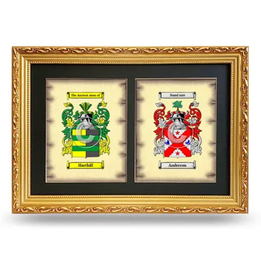 Double Coat of Arms Framed - Gold