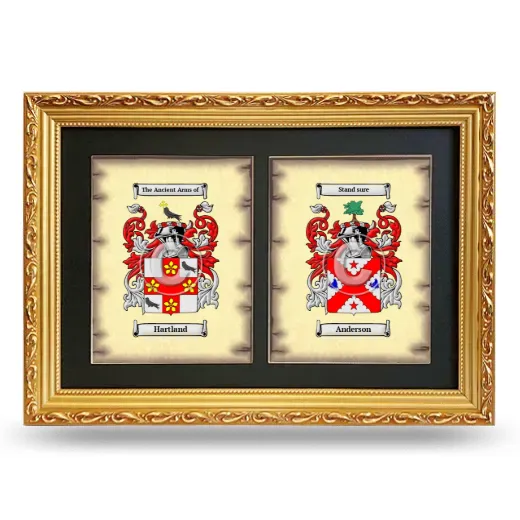 Double Coat of Arms Framed - Gold
