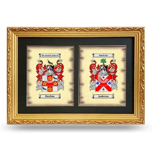 Double Coat of Arms Framed - Gold