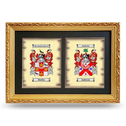Double Coat of Arms Framed - Gold