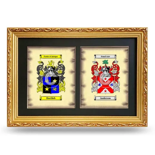 Double Coat of Arms Framed - Gold