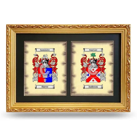 Double Coat of Arms Framed - Gold