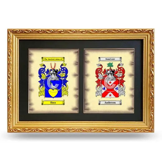 Double Coat of Arms Framed - Gold