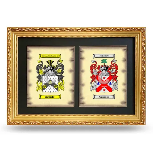 Double Coat of Arms Framed - Gold
