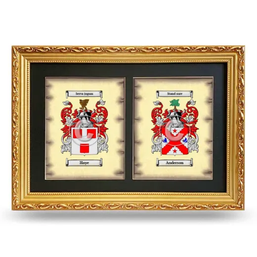 Double Coat of Arms Framed - Gold