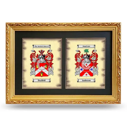 Double Coat of Arms Framed - Gold