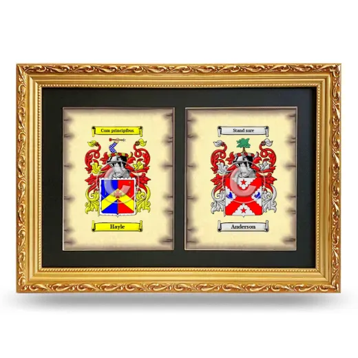 Double Coat of Arms Framed - Gold