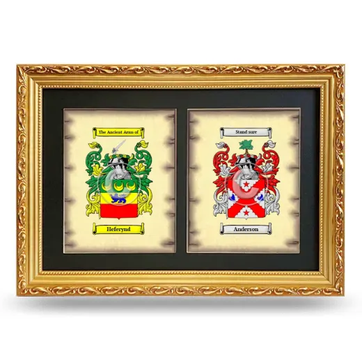 Double Coat of Arms Framed - Gold