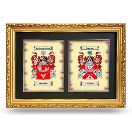 Double Coat of Arms Framed - Gold