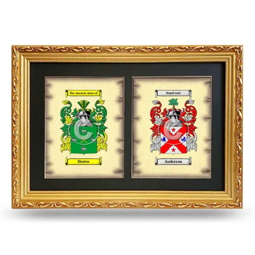 Double Coat of Arms Framed - Gold