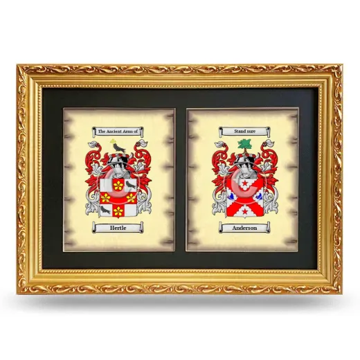 Double Coat of Arms Framed - Gold