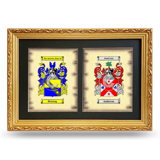Double Coat of Arms Framed - Gold