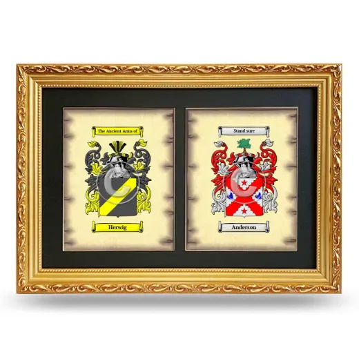 Double Coat of Arms Framed - Gold