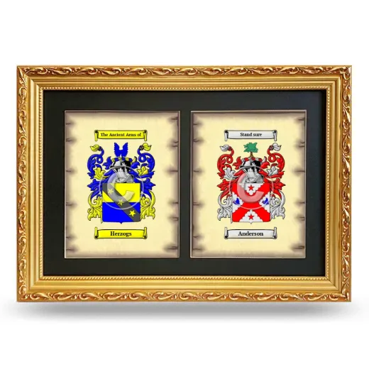 Double Coat of Arms Framed - Gold
